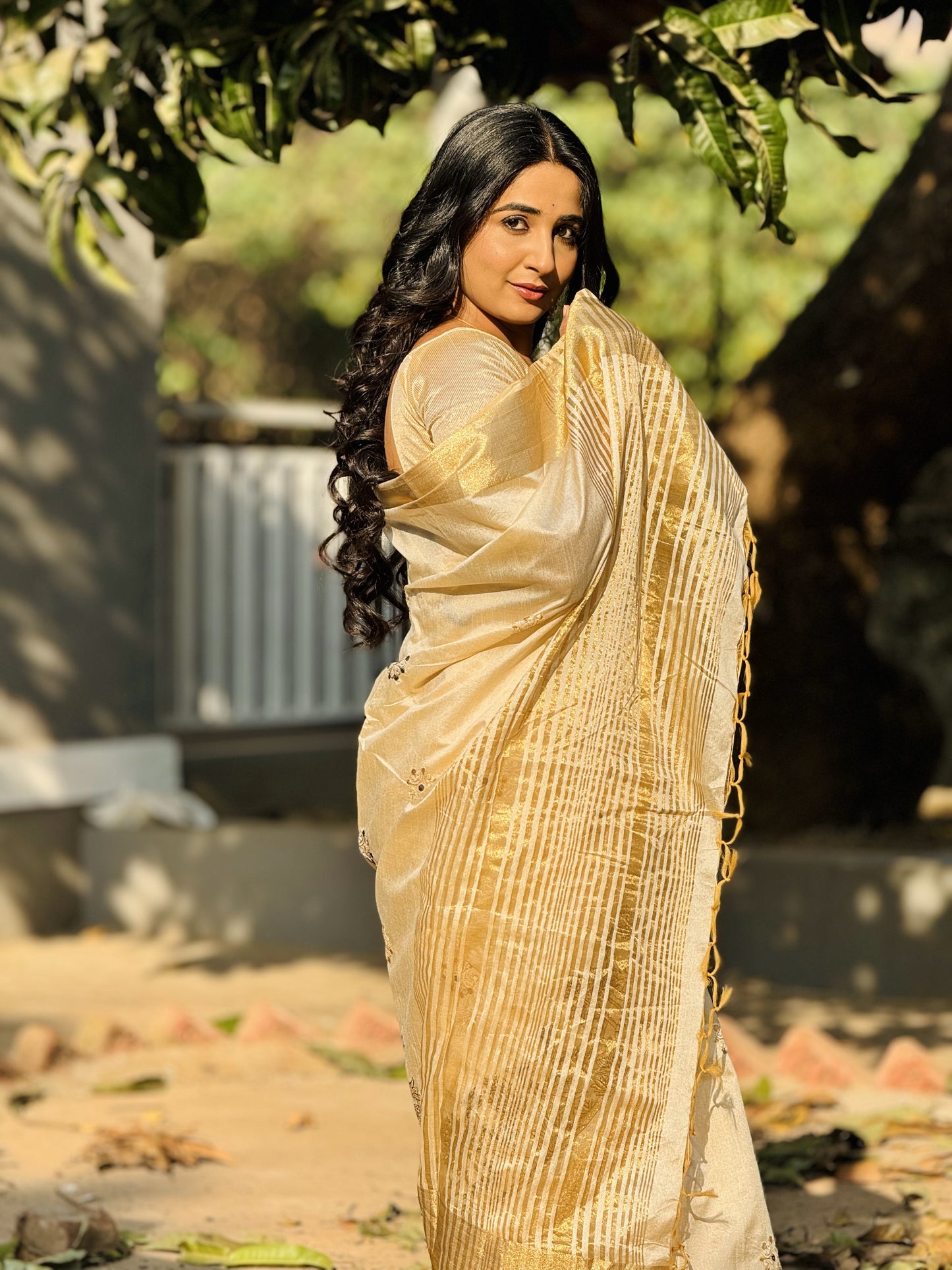 Elegant Tussar Silk Saree with Embroidery & Fancy Border