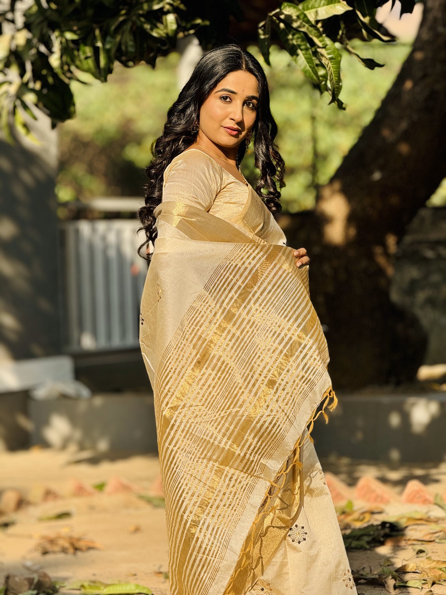 Elegant Tussar Silk Saree with Embroidery & Fancy Border