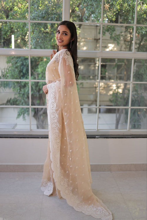 Cream Soft Organza Embroidery Thread Work Saree