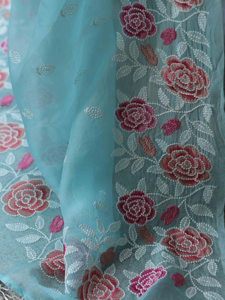 Sky Soft Organza Beautiful Embroidery Thread Work Saree