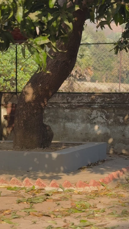 Elegant Tussar Silk Saree with Embroidery & Fancy Border