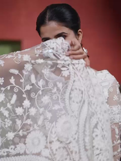 Off white Elegant Embroidered Butterfly Net Saree